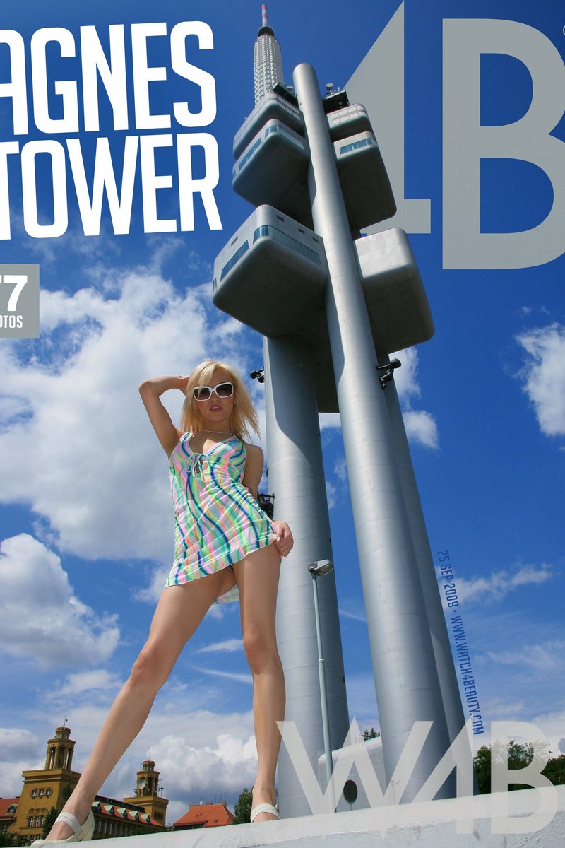 Tower - Screenshot 1 of 4 - Agnes