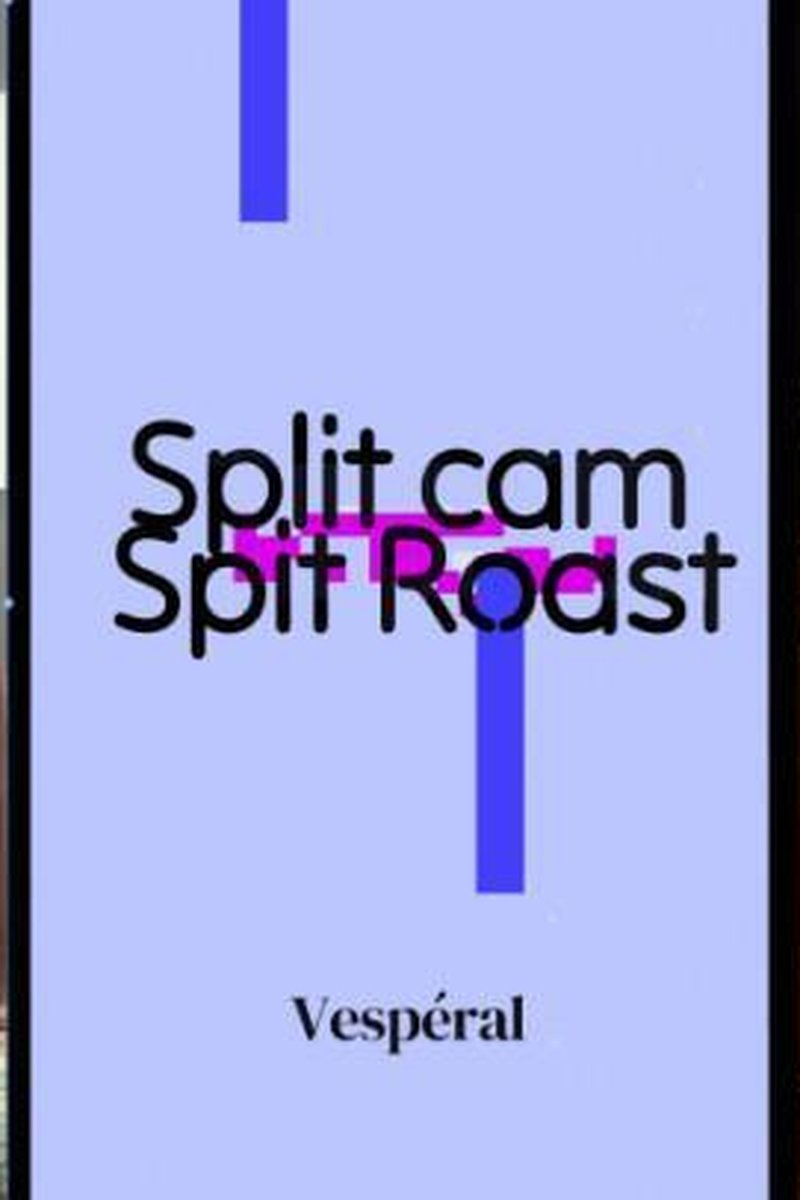Splitcam Spitroast - Screenshot 1 of 4 - Allholes