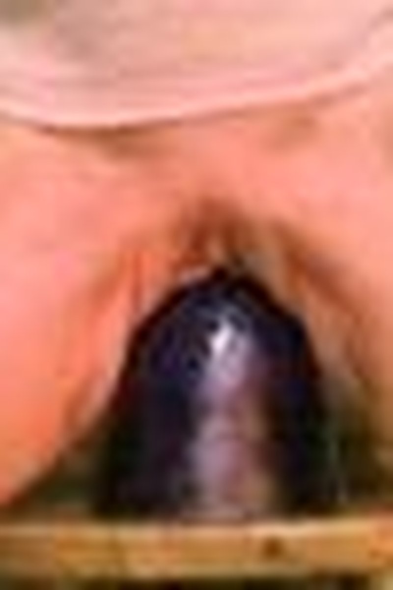 Monster Dildo Insertions - Screenshot 1 of 4 - Amateur