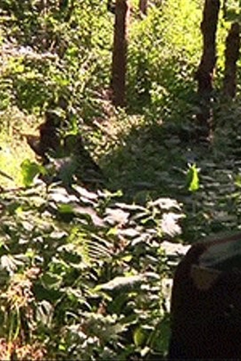 Sergeant Bottom Bitch - Screenshot 1 of 4 - Blowjob