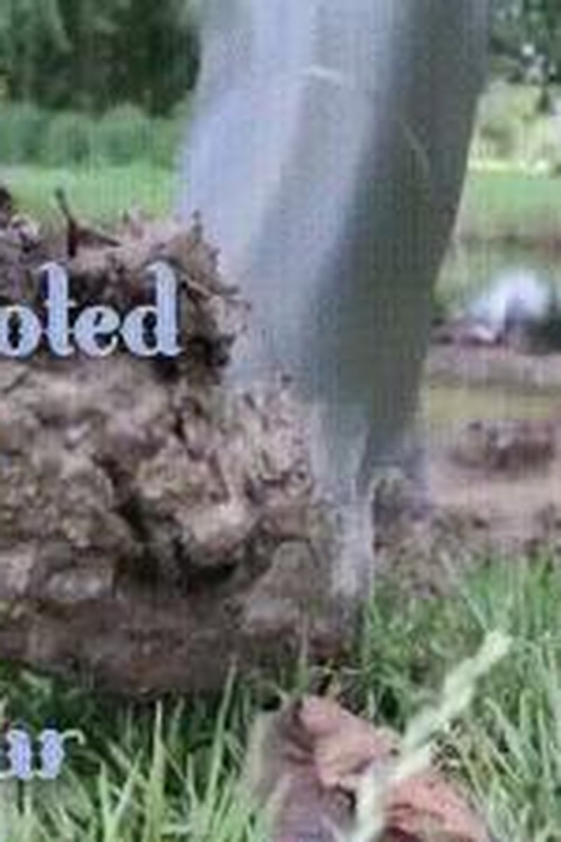 Mud Boot Devoted Slave Part Four - Screenshot 1 of 4 - Boots