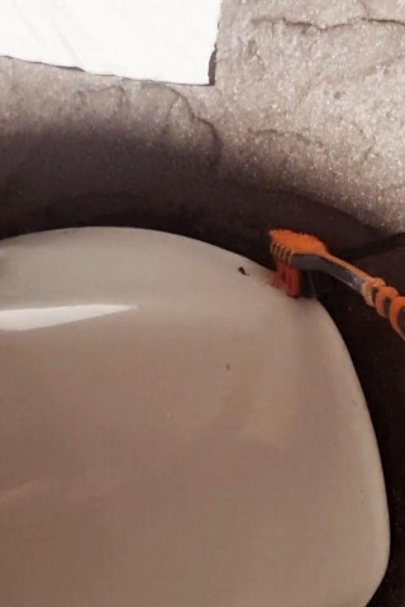 Peeing On Toothbrush Public Toilet Scrub - Screenshot 1 of 4 - Golden Shower