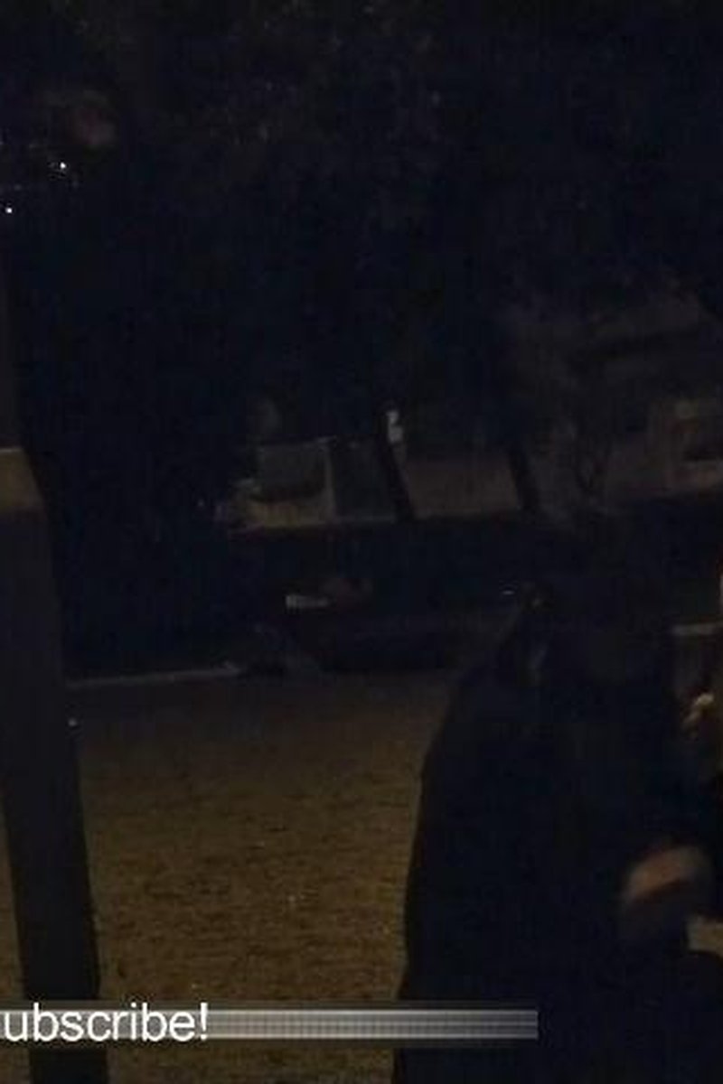 Manhandled Leashed Slut - Screenshot 1 of 4 - BDSM