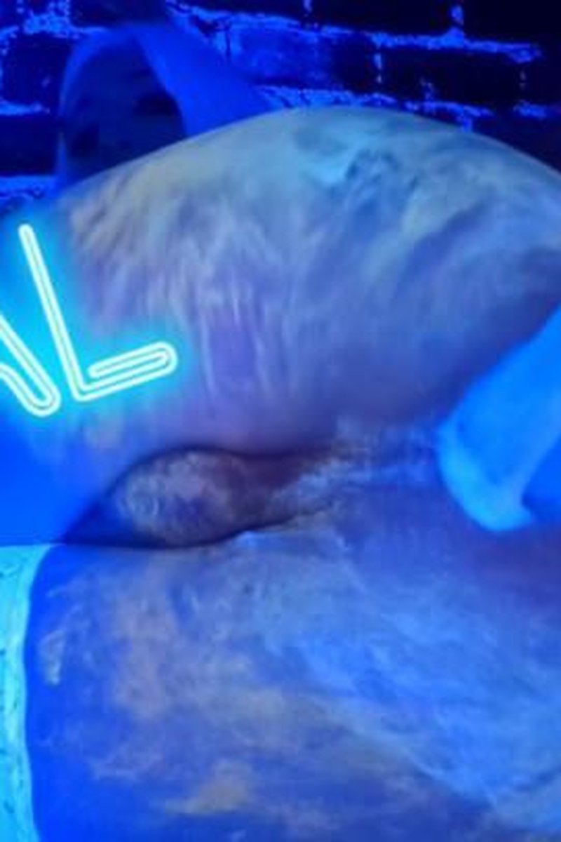 Uv Anal - Screenshot 1 of 4 - Body Paint