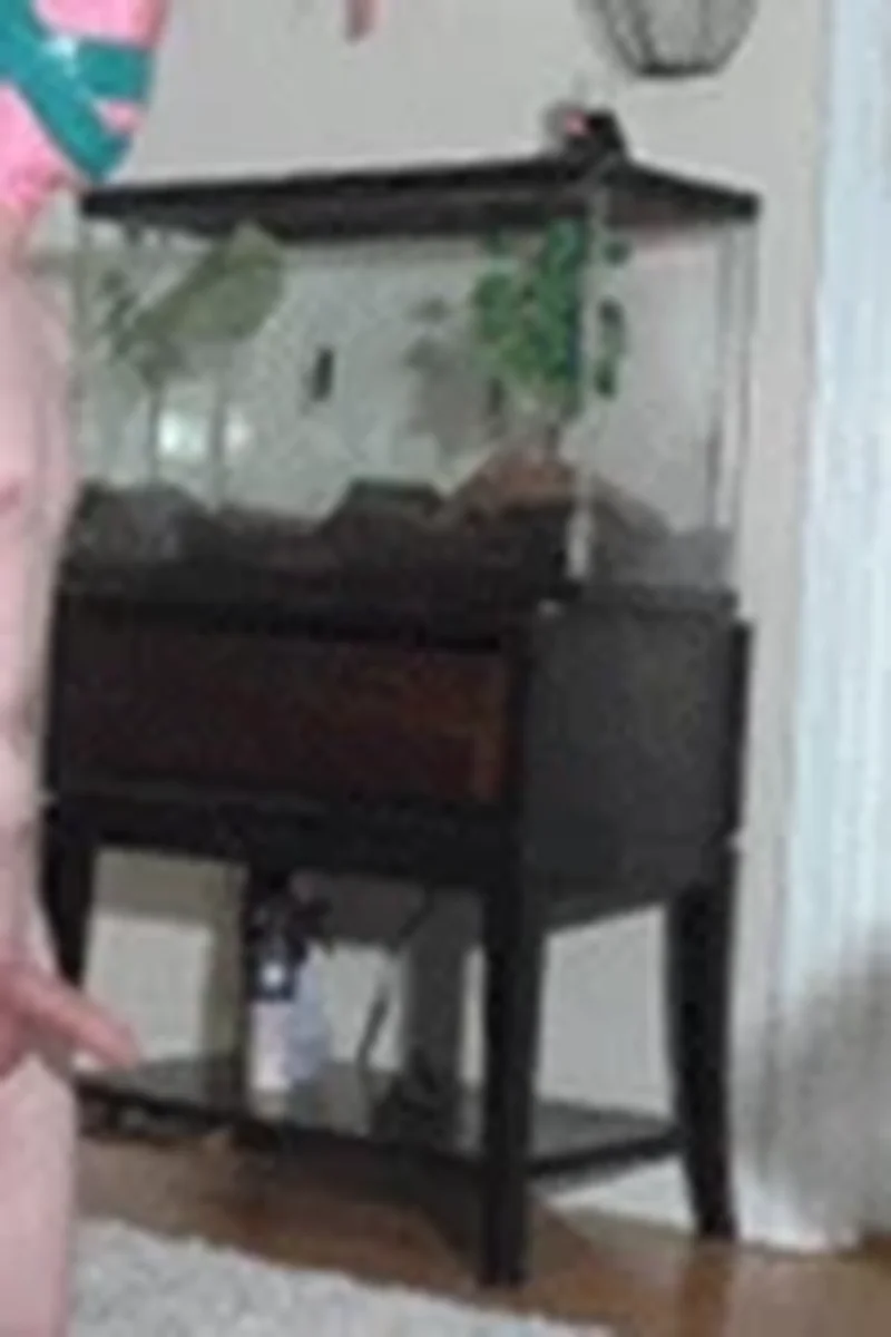 Kick, Squeeze, Break - Screenshot 1 of 4 - Femdom