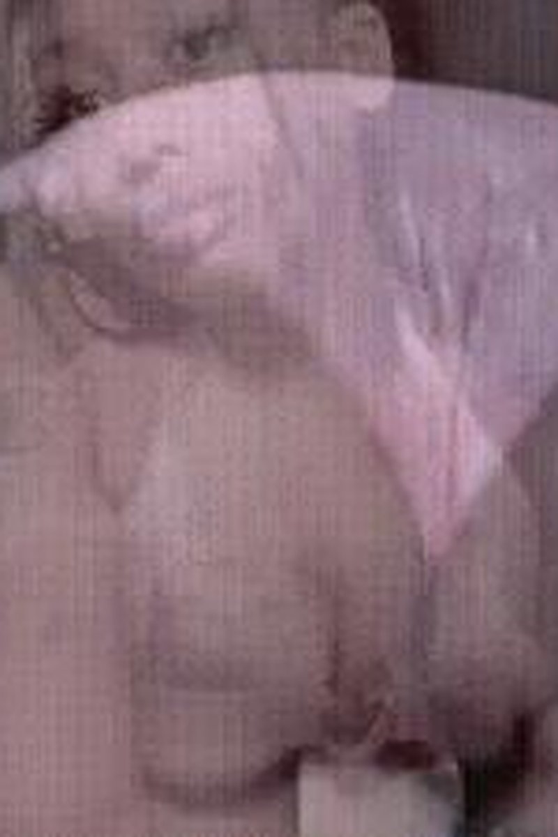 Ebony's SPH Reprogramming - Screenshot 1 of 4 - Black