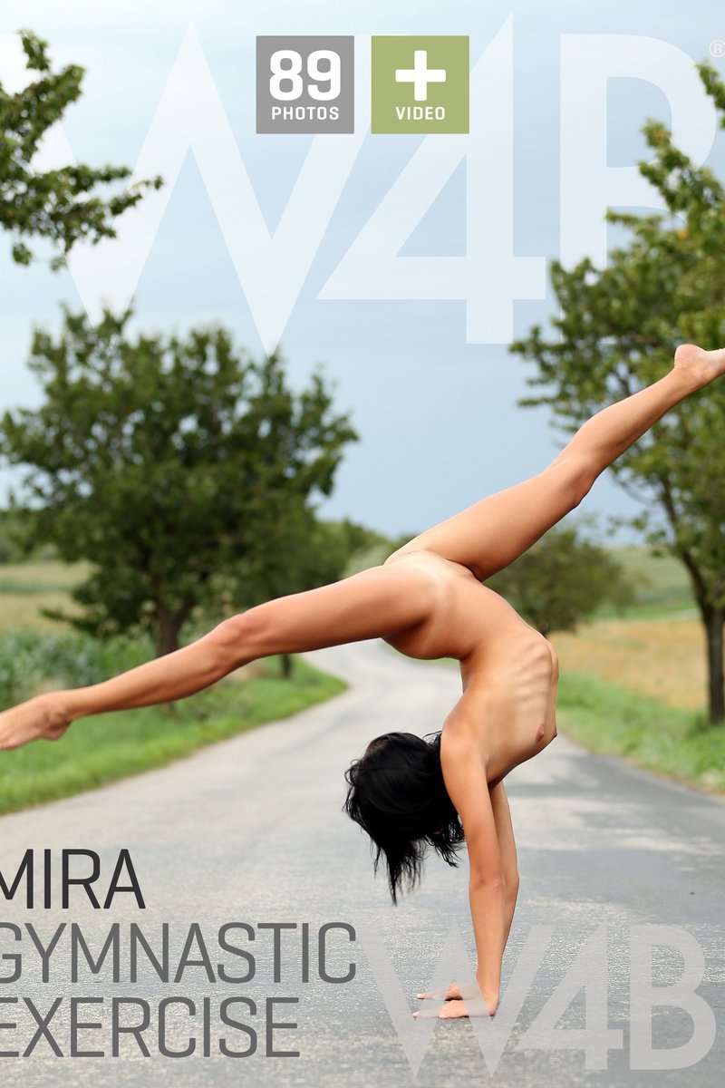 Gymnastic Exercise - Screenshot 1 of 4 - European