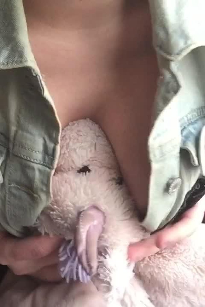 Huge Tit - Screenshot 1 of 4 - BBW
