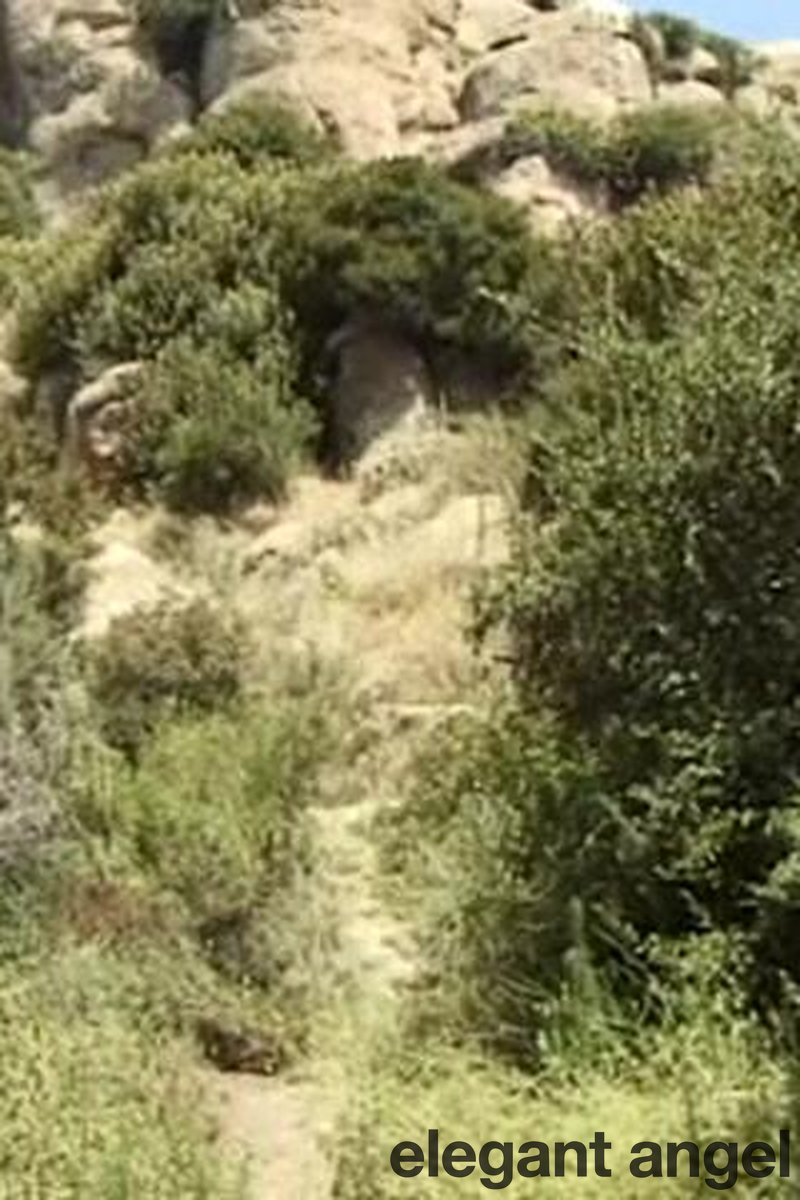 Champagne Brunch - Screenshot 1 of 4 - Greta Milos