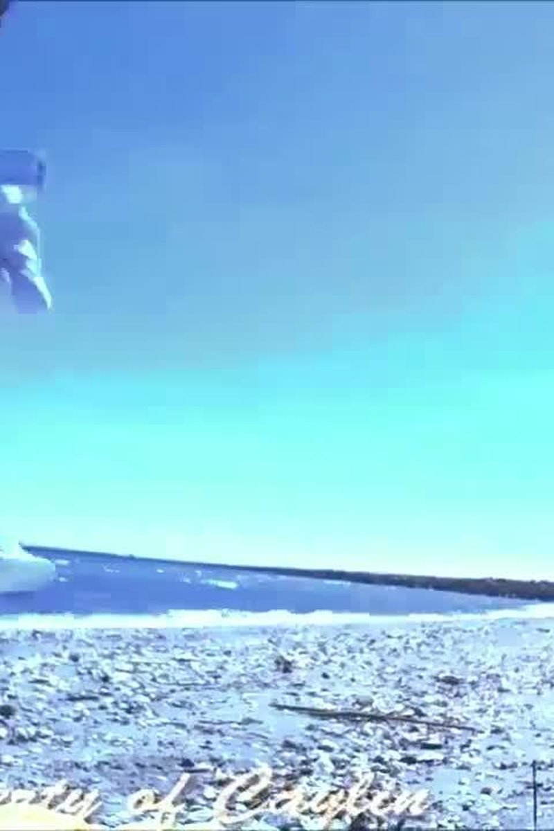 Outdoor Risky Beach Genuine Cum - Screenshot 1 of 4 - Big Tits