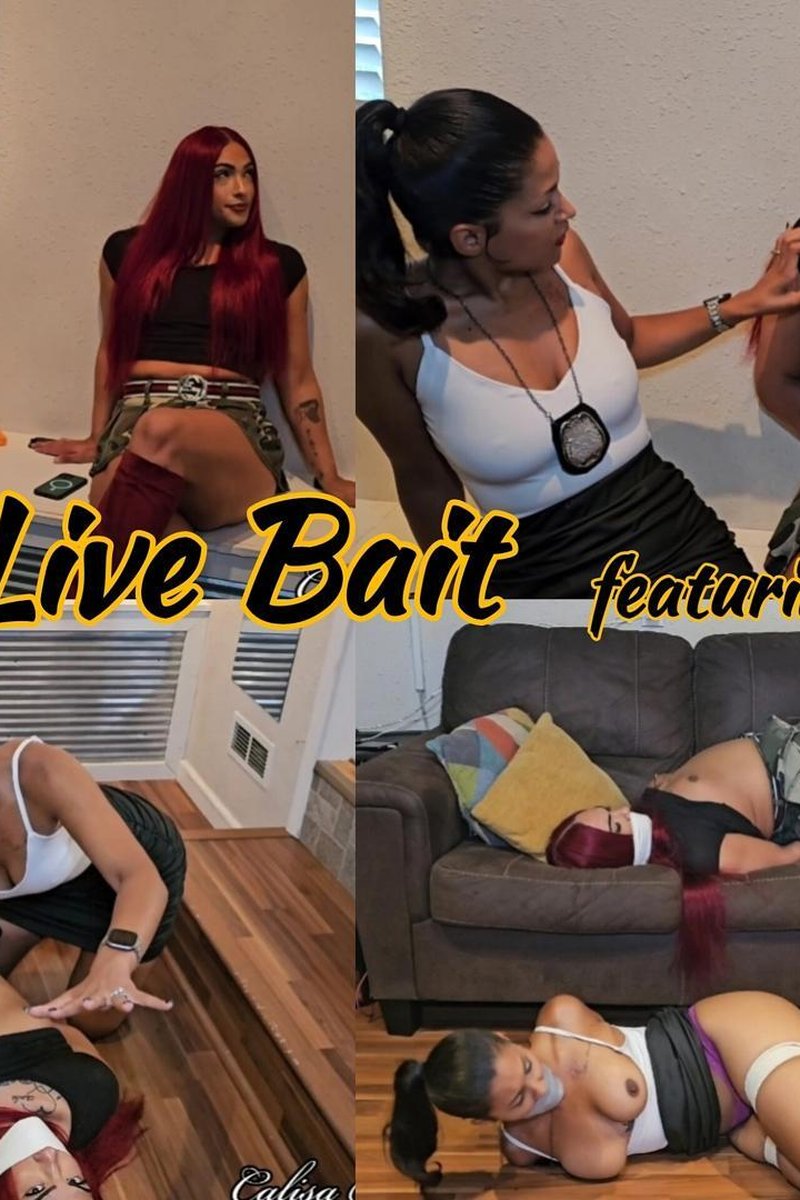 Live Bait - Screenshot 1 of 4 - Safari Island
