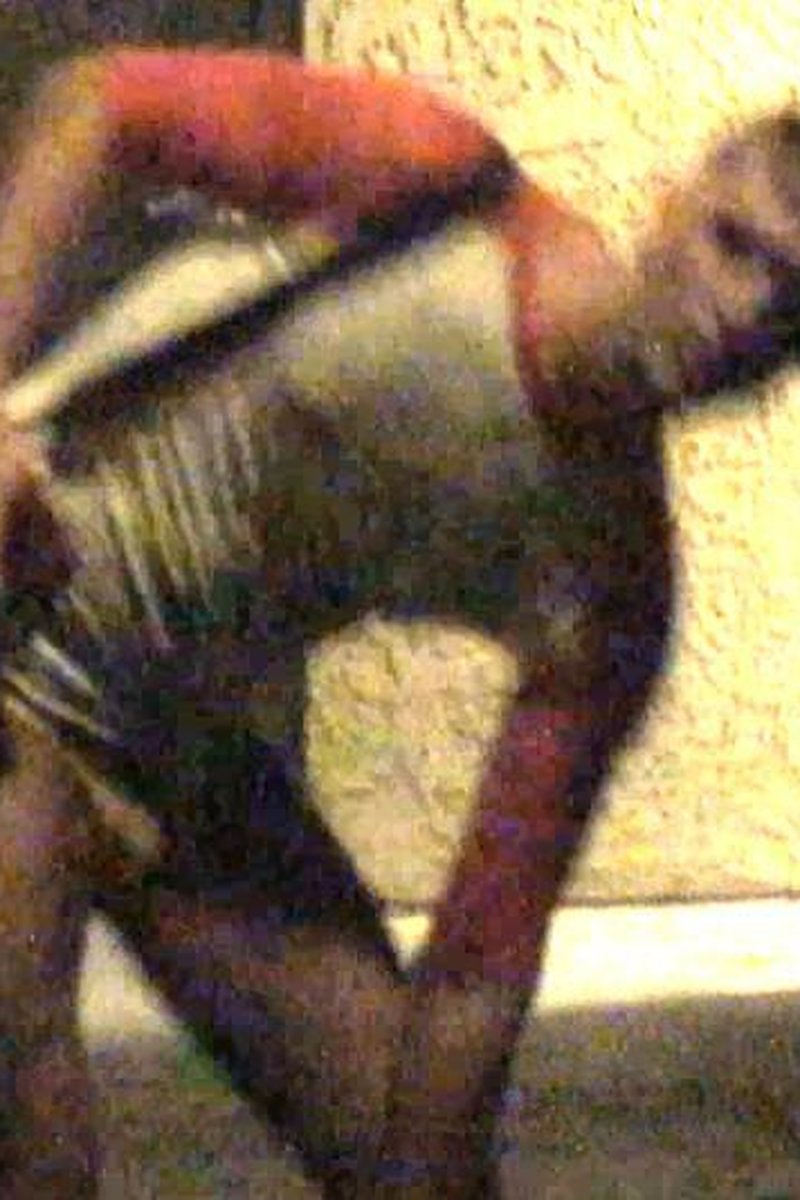 Jock Strapped - Screenshot 1 of 4 - Amateur