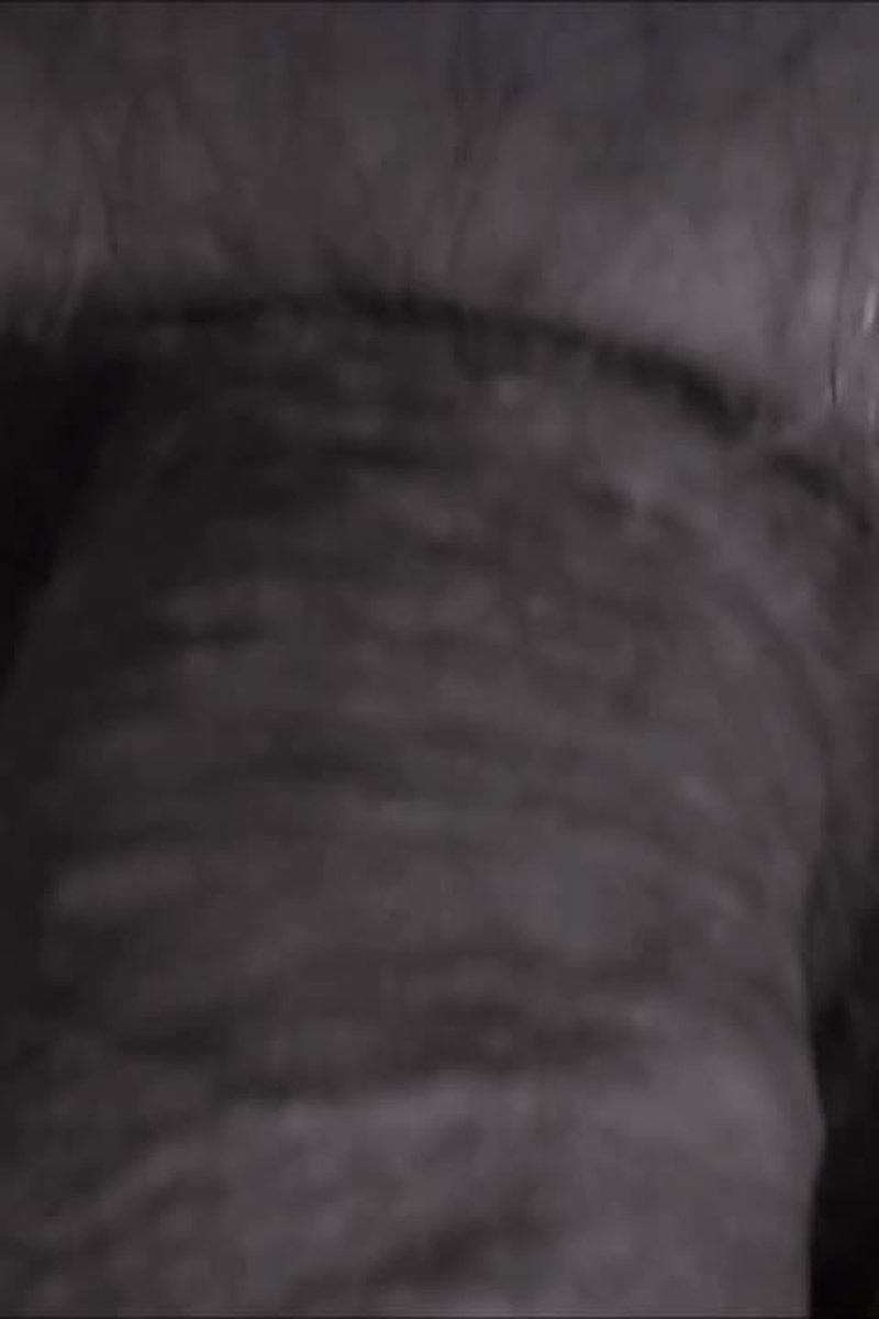 Dick Noir - Screenshot 1 of 4 - Close Up