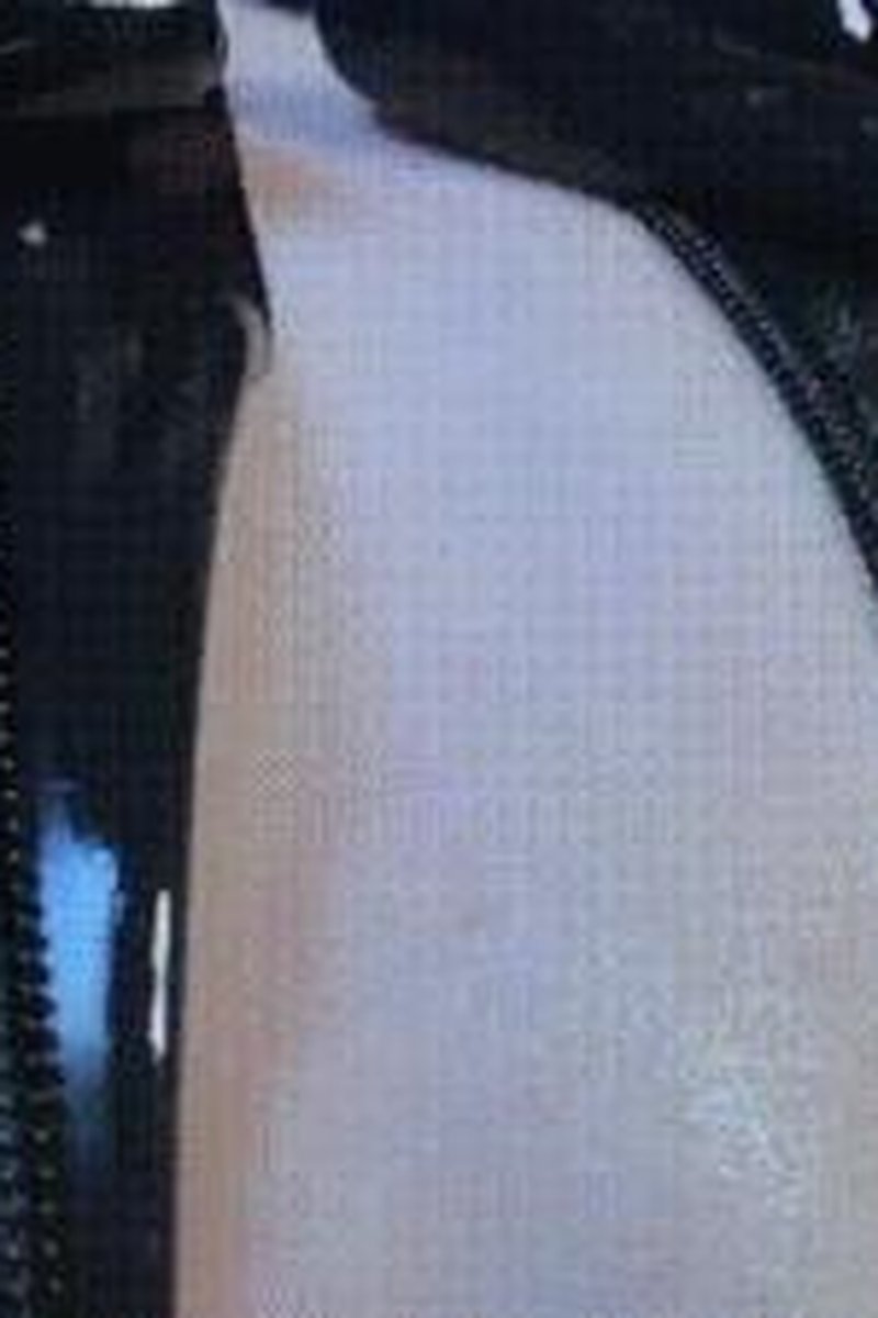 Exo-Skin - Screenshot 1 of 4 - Gloves