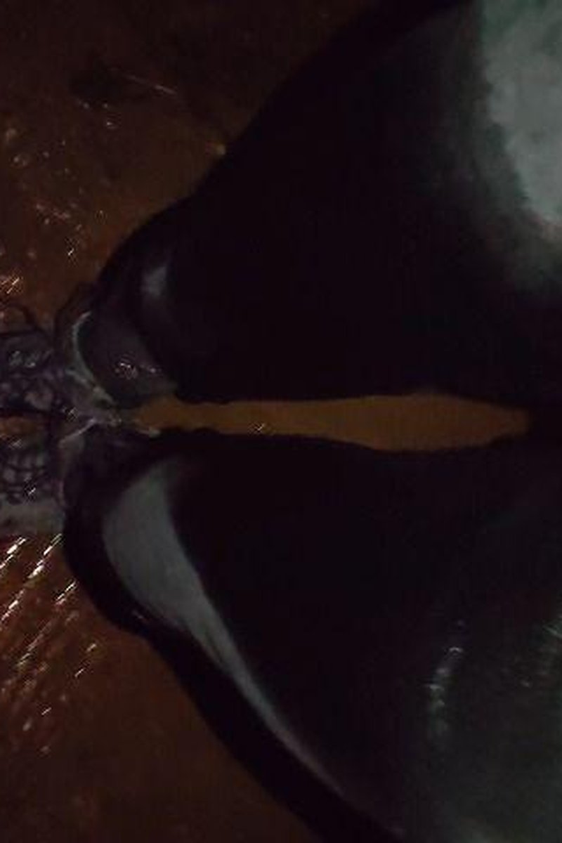 Piss And Wetlook Night Part1: The Forest - Screenshot 1 of 4 - Golden Shower
