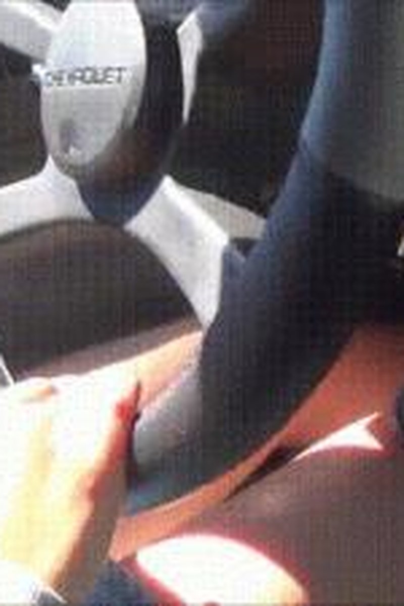 Barefoot Driving - Screenshot 1 of 4 - Car