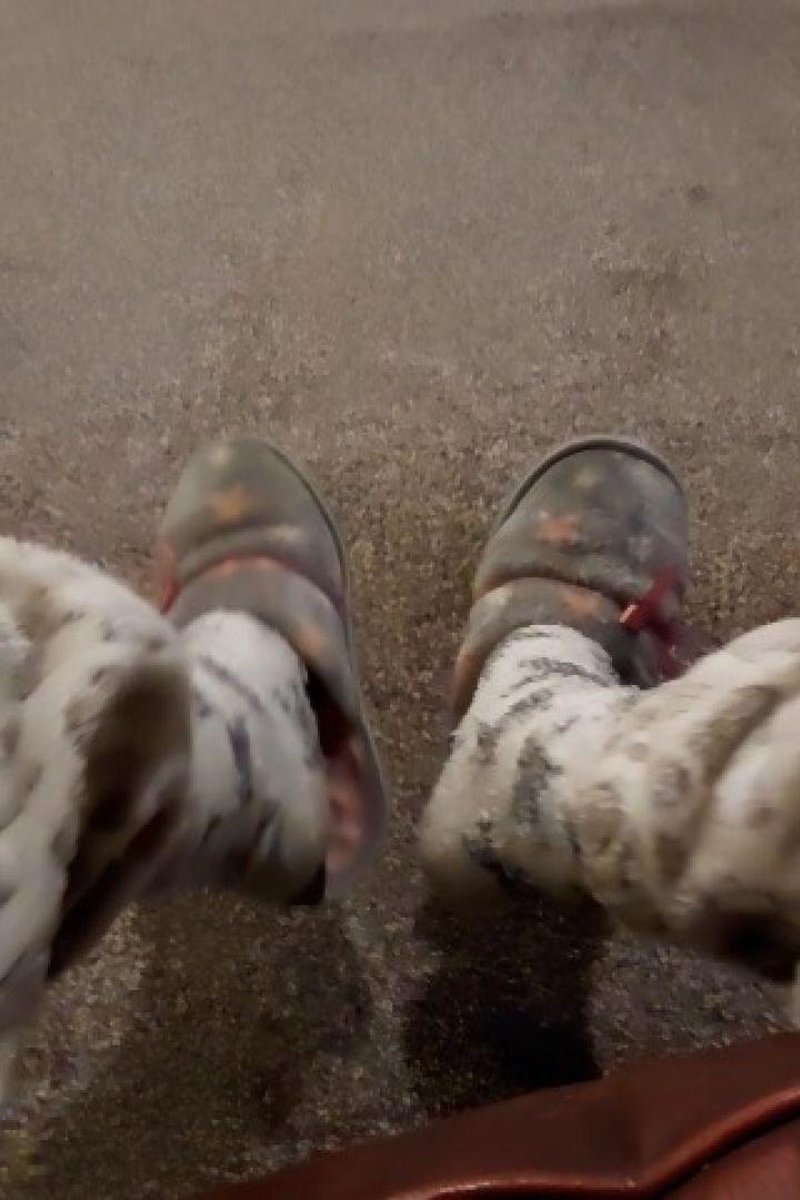 Slippers Dangling Fun - Screenshot 1 of 4 - Danglingslippers