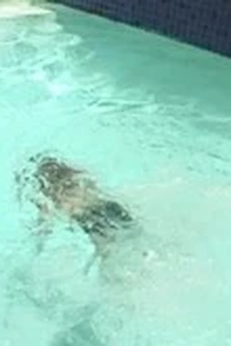 Daisy - Screenshot 1 of 4 - Hardcore