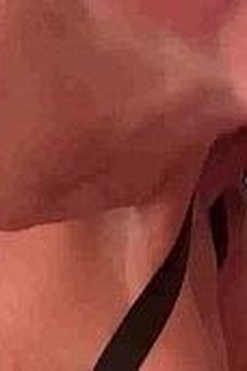 Request Granted - Screenshot 1 of 4 - Brown Hair