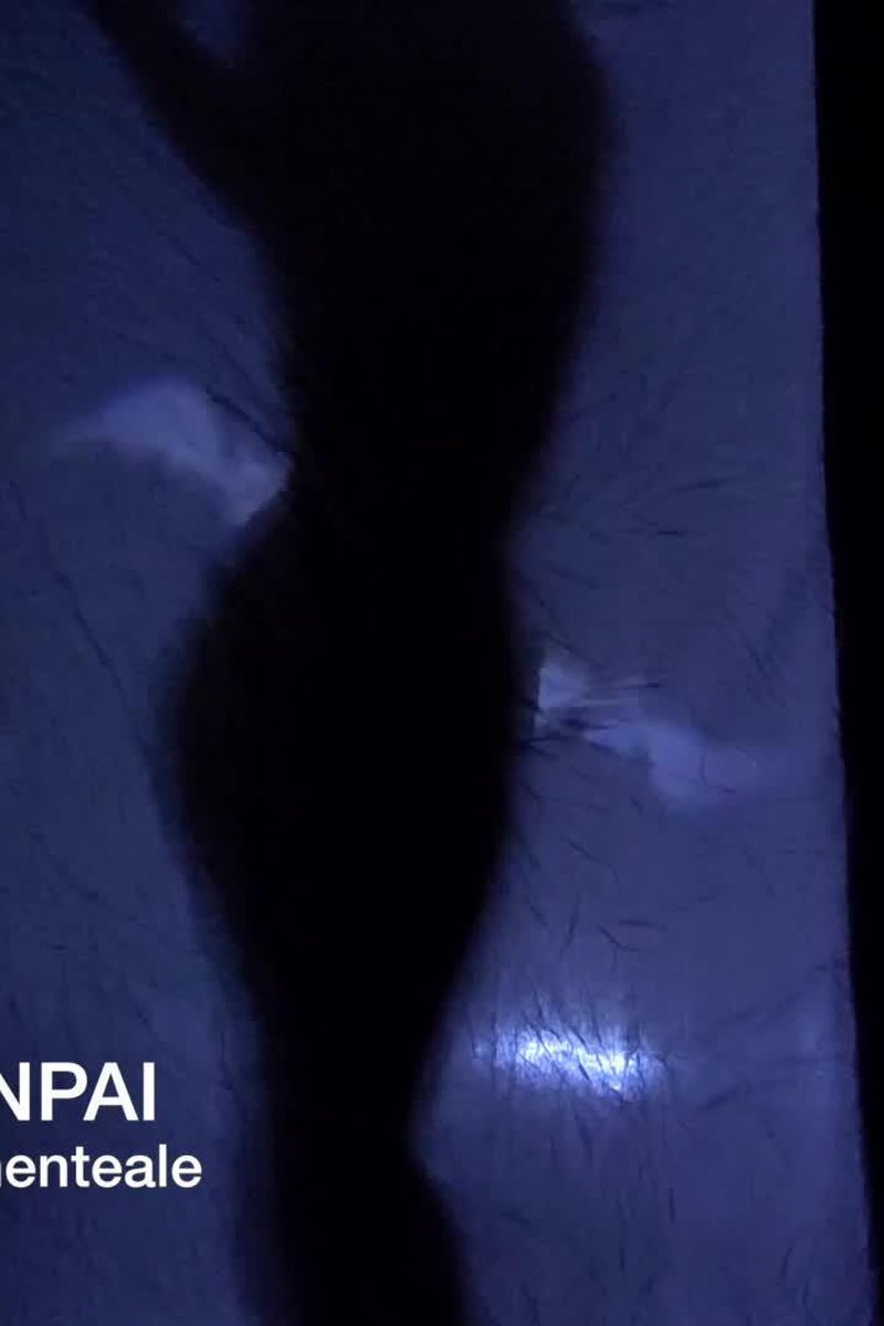 90. Spooky Shadow Striptease - Screenshot 1 of 4 - Holidays