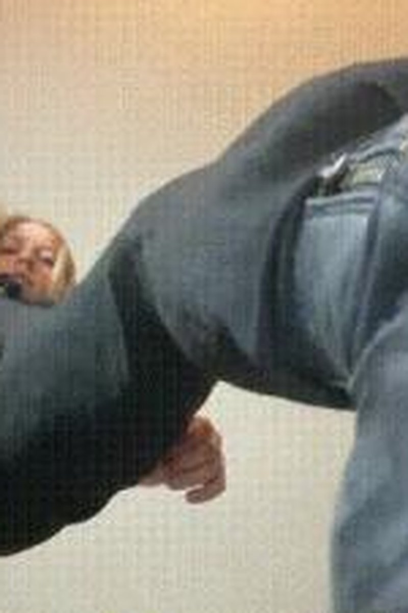 Zaurus Tiny Boot Slave - Screenshot 1 of 4 - Boot Cleaner