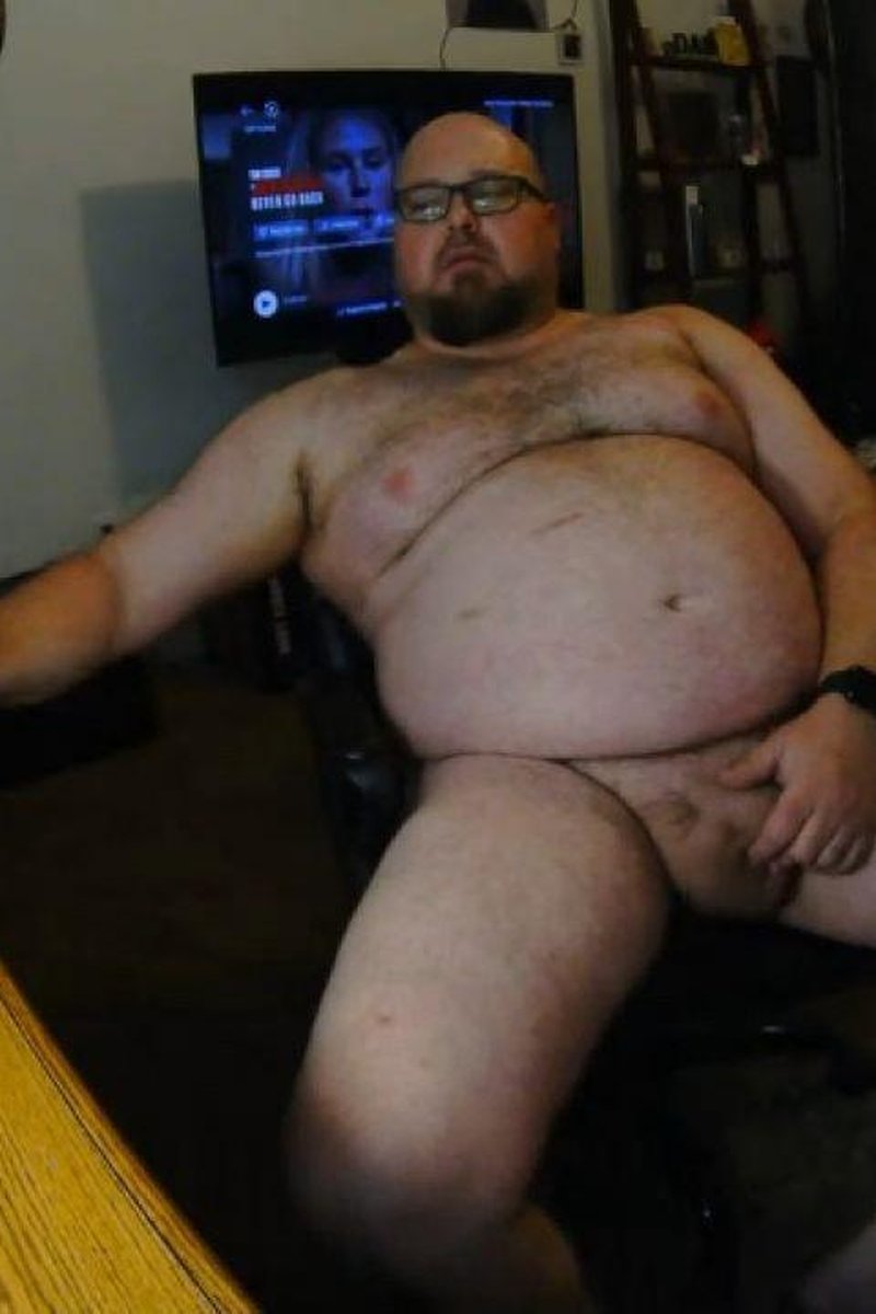 Web Cam - Screenshot 1 of 4 - Bears And Cubs