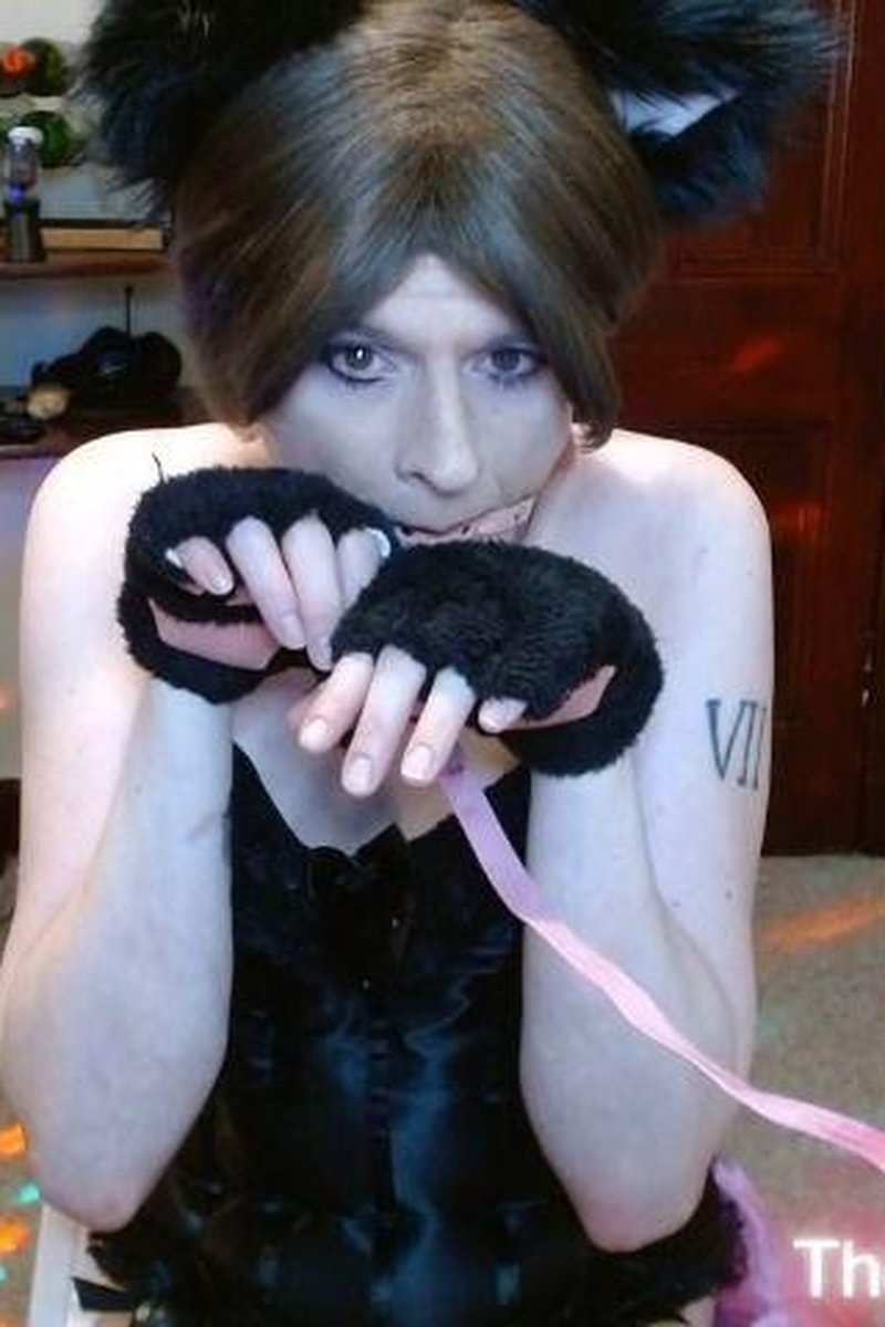 Kitten Pet Mode - Screenshot 1 of 4 - Sissification