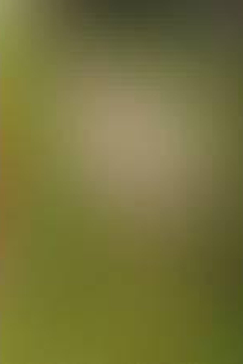 Goon! - Screenshot 1 of 4 - Broken