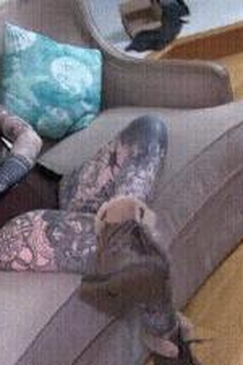 Package For Small Dick 2 - Screenshot 1 of 4 - Boots
