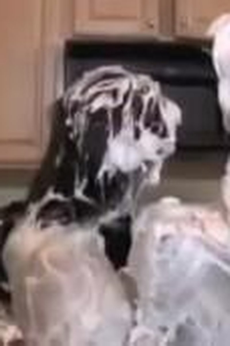 Cream - Screenshot 1 of 4 - Big Tits