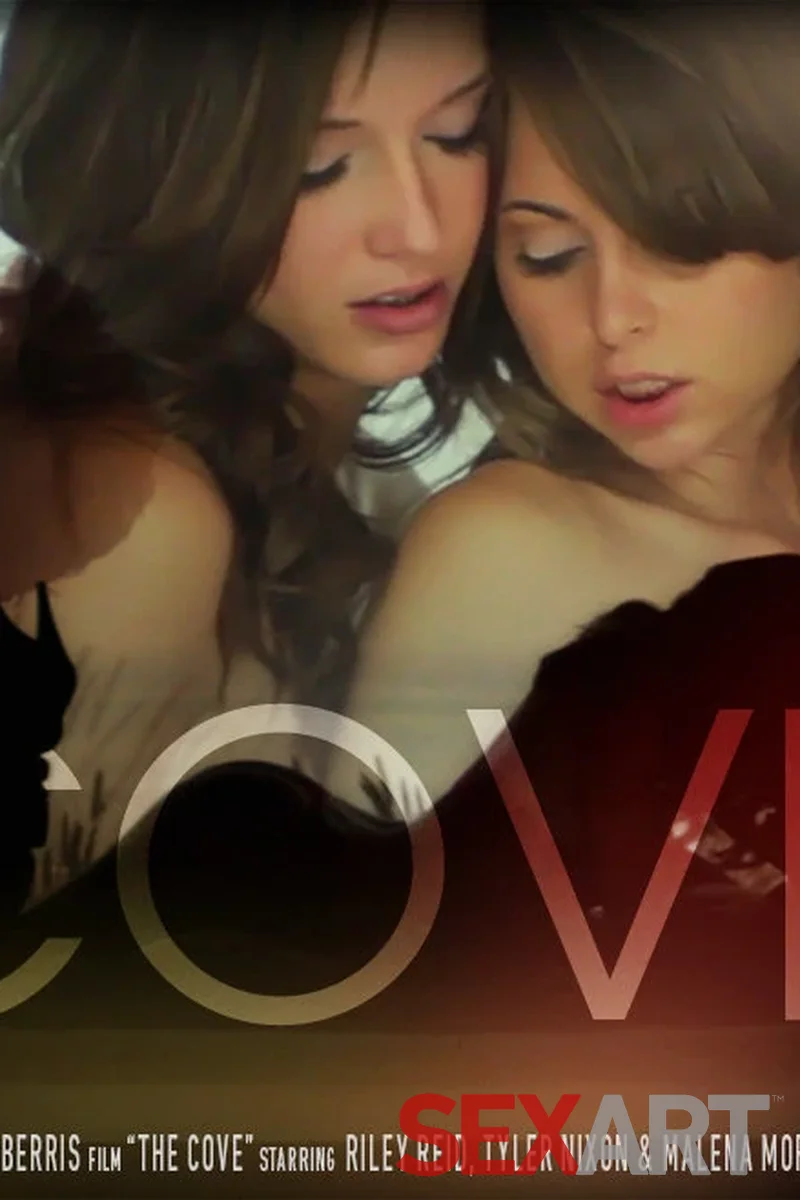 The Cove - Screenshot 1 of 4 - American