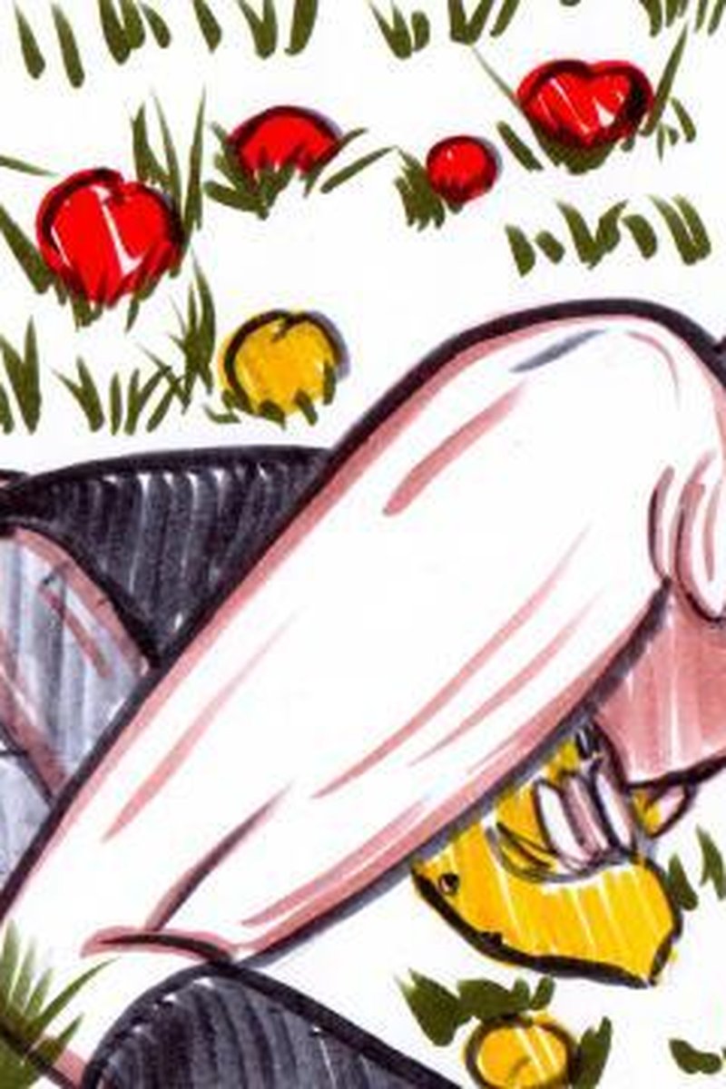 Picking Apples - Screenshot 1 of 4 - Anal