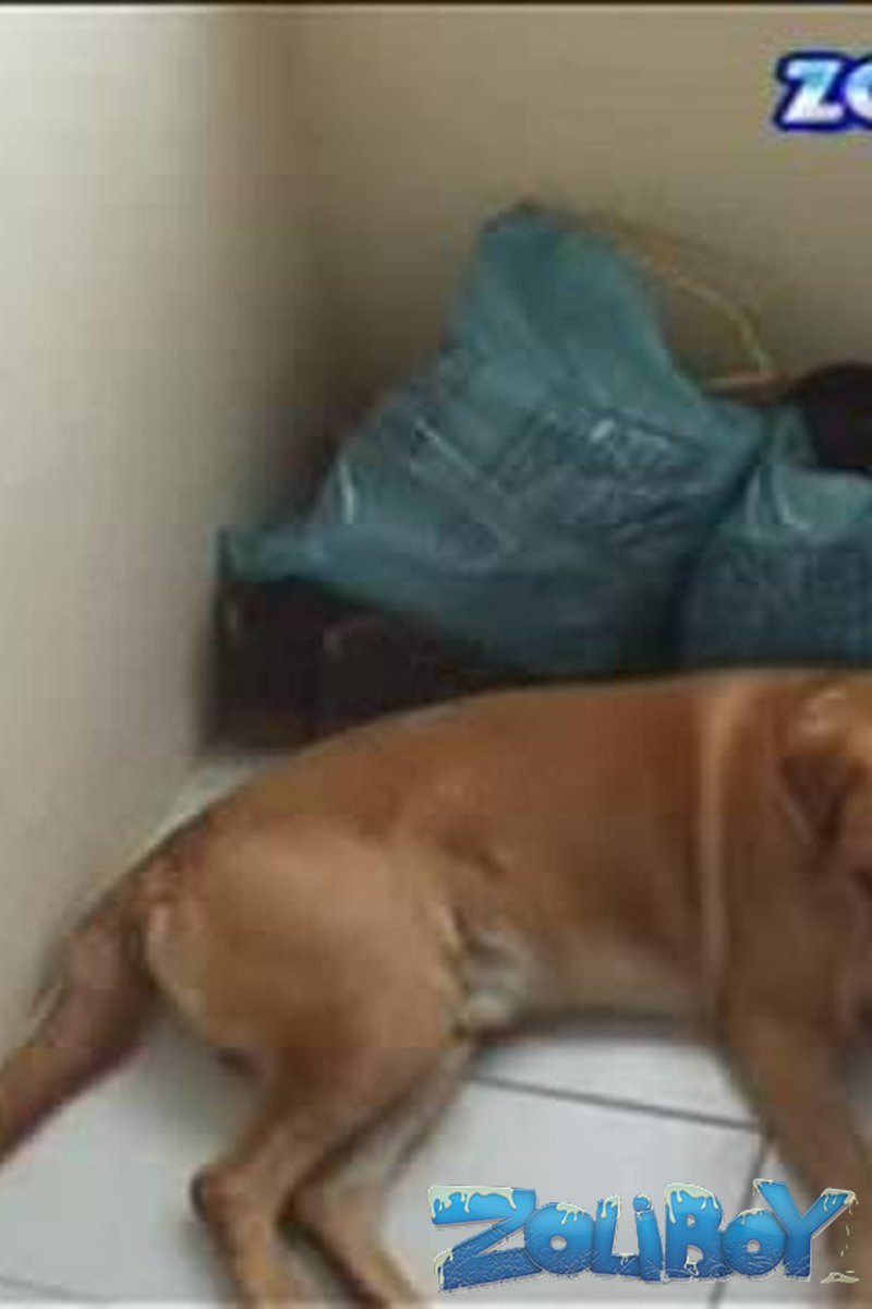 Double Dick-Teasing - Screenshot 1 of 4 - Brown Hair