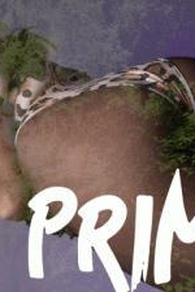 Primal - Screenshot 1 of 4 - Ass Fetish