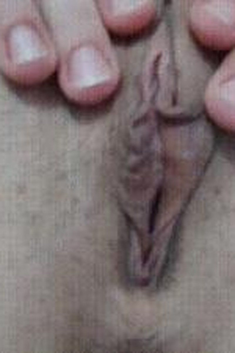 Close Up Cunt - Screenshot 1 of 4 - Clit