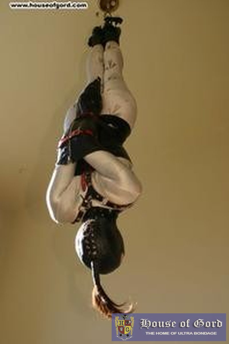 Newbie Testing - Screenshot 1 of 4 - Armbinder