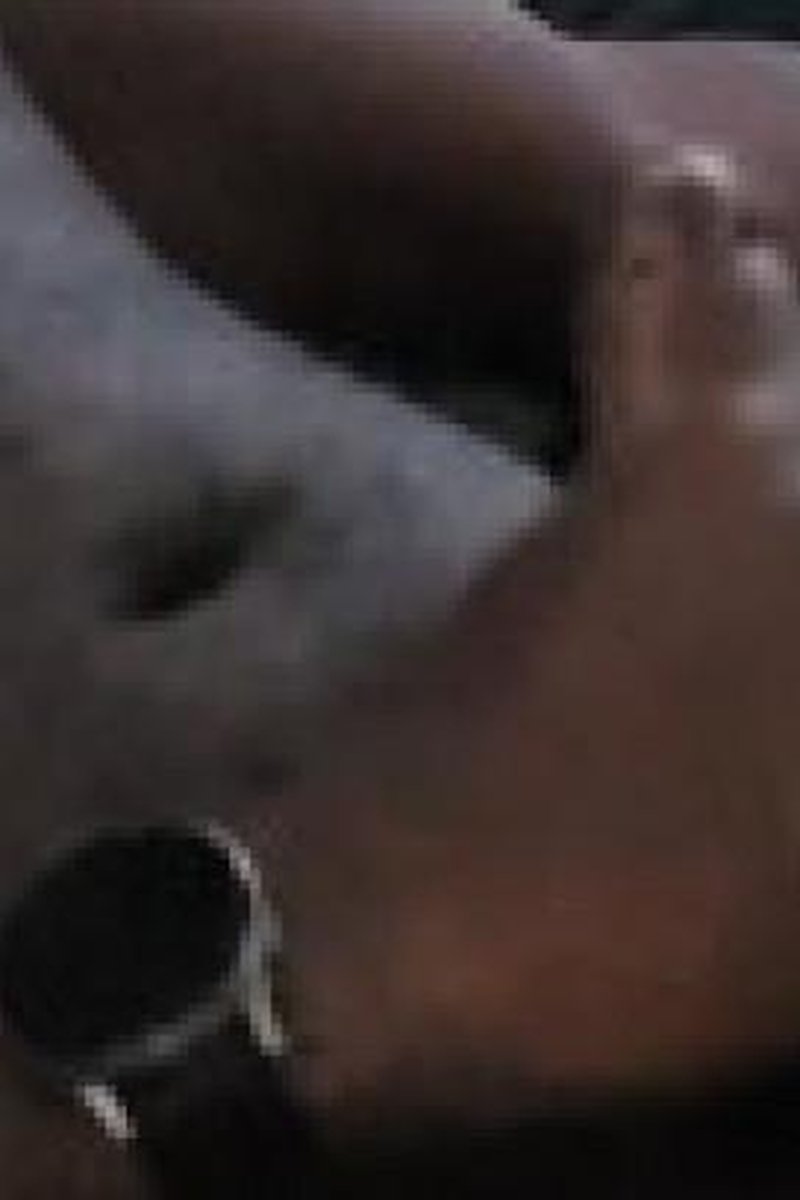 Chest Nut - Screenshot 1 of 4 - BBC