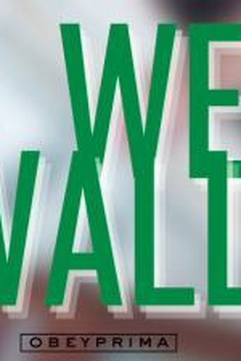 Weak Wallet - Screenshot 1 of 4 - Broken