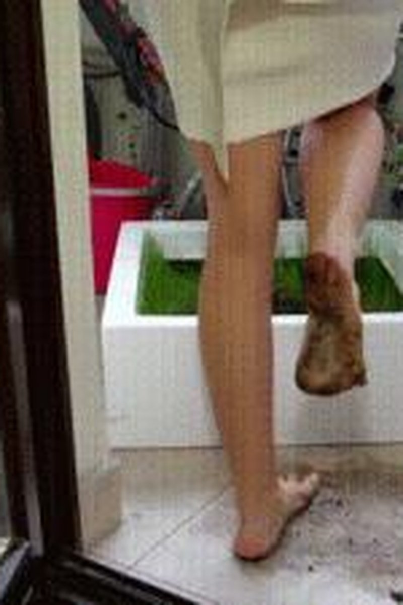 TP-iwantclipspolishmistress-helena-feet-licking-servant-polish-language-part-02-4096x2304-4k