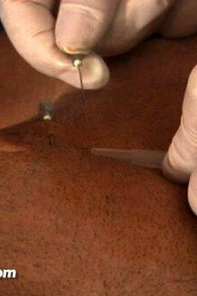 Play Piercing: Insertion Introduction - Screenshot 1 of 4 - Play Piercing
