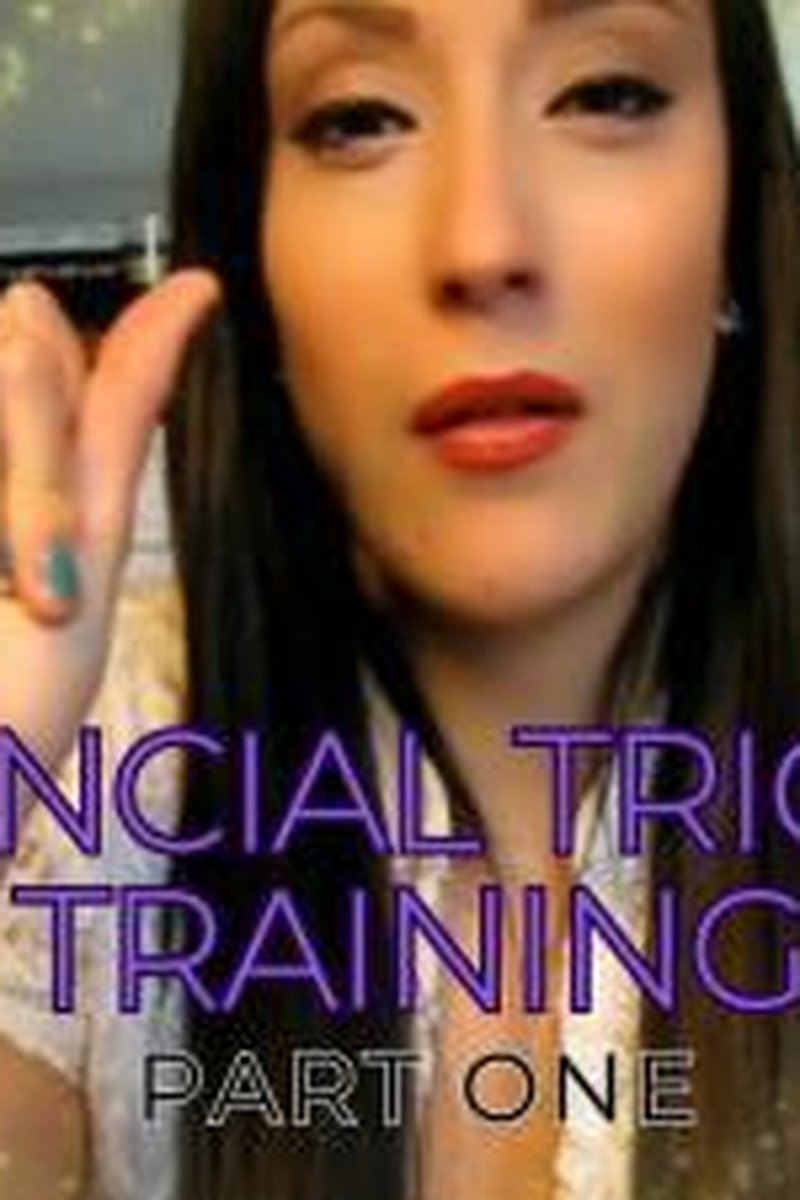 Financial Trigger Training Part One - Screenshot 1 of 4 - Broken