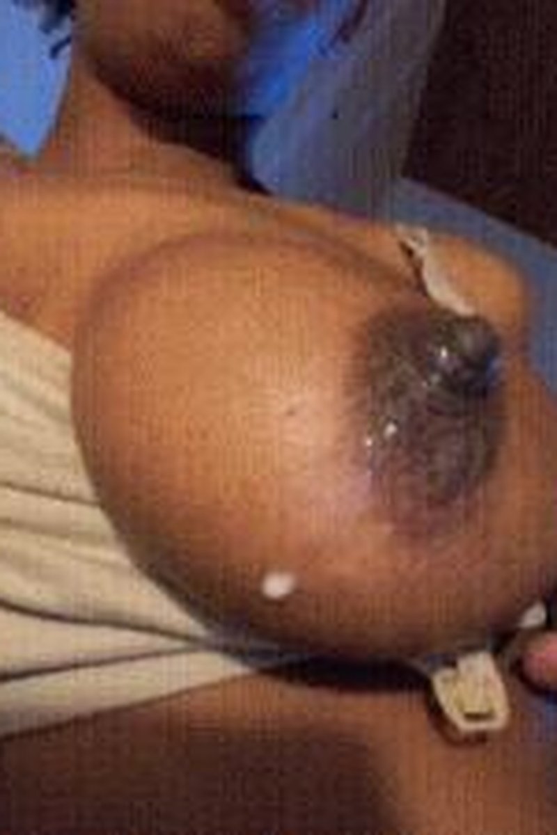 Quick Suck - Screenshot 1 of 4 - Big Nipples