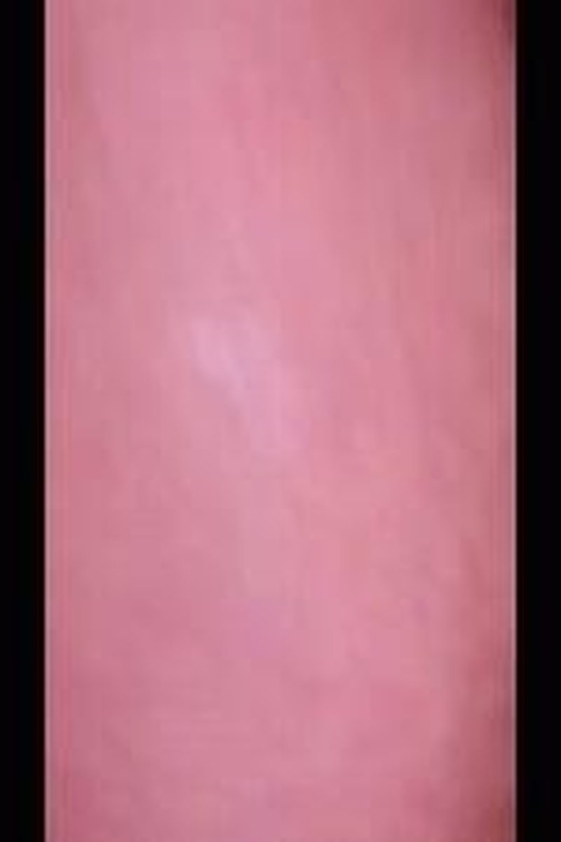 Dildo Ride - Screenshot 1 of 4 - Amateur