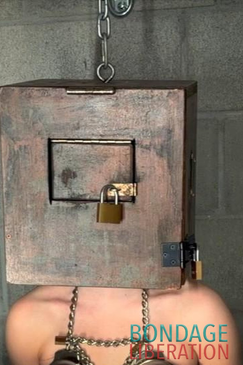 Head Box Isolation - Screenshot 1 of 4 - BDSM