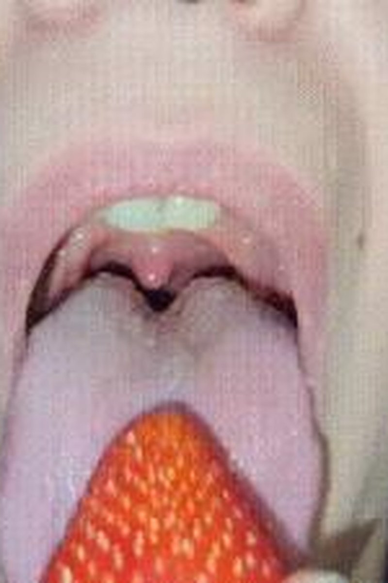 Mmmm Strawberrys - Screenshot 1 of 4 - Chewing
