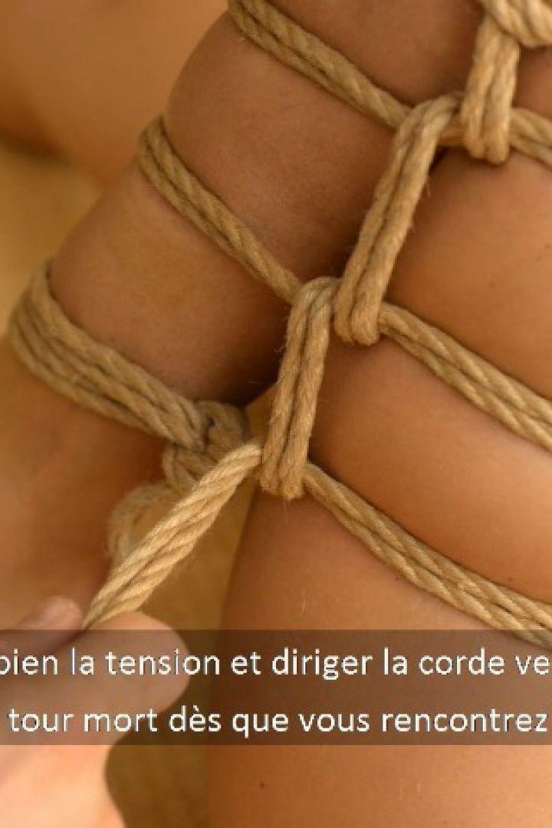 Shibari Tutorial : Futomomo - Screenshot 1 of 4 - Bondage