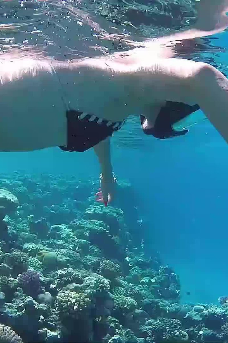 Scubba Diving, Pussy, Ass Flashing Under Water - Screenshot 1 of 4 - Ass Worship