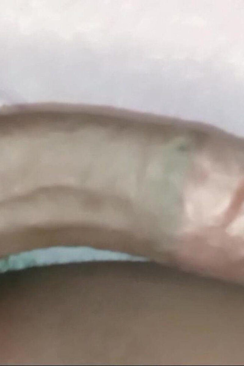 BBC Dancing - Screenshot 1 of 4 - BBC