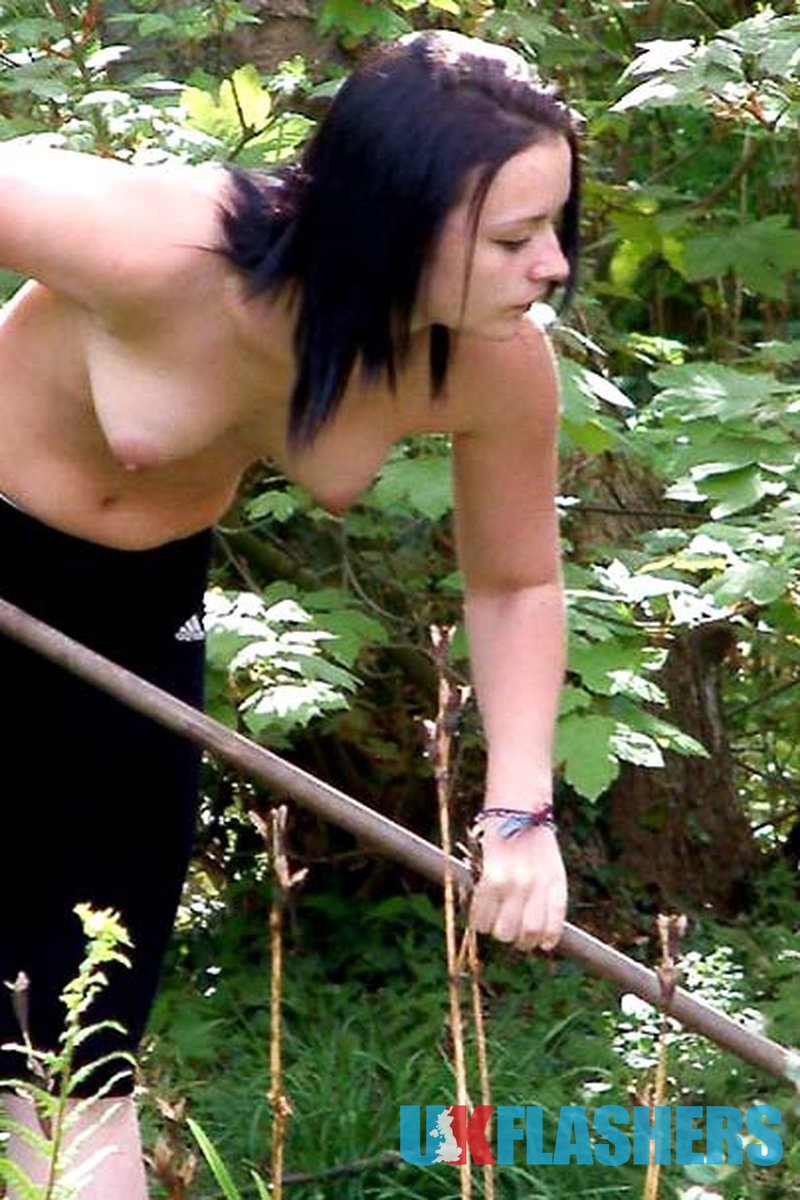 Pixie - Screenshot 1 of 4 - European