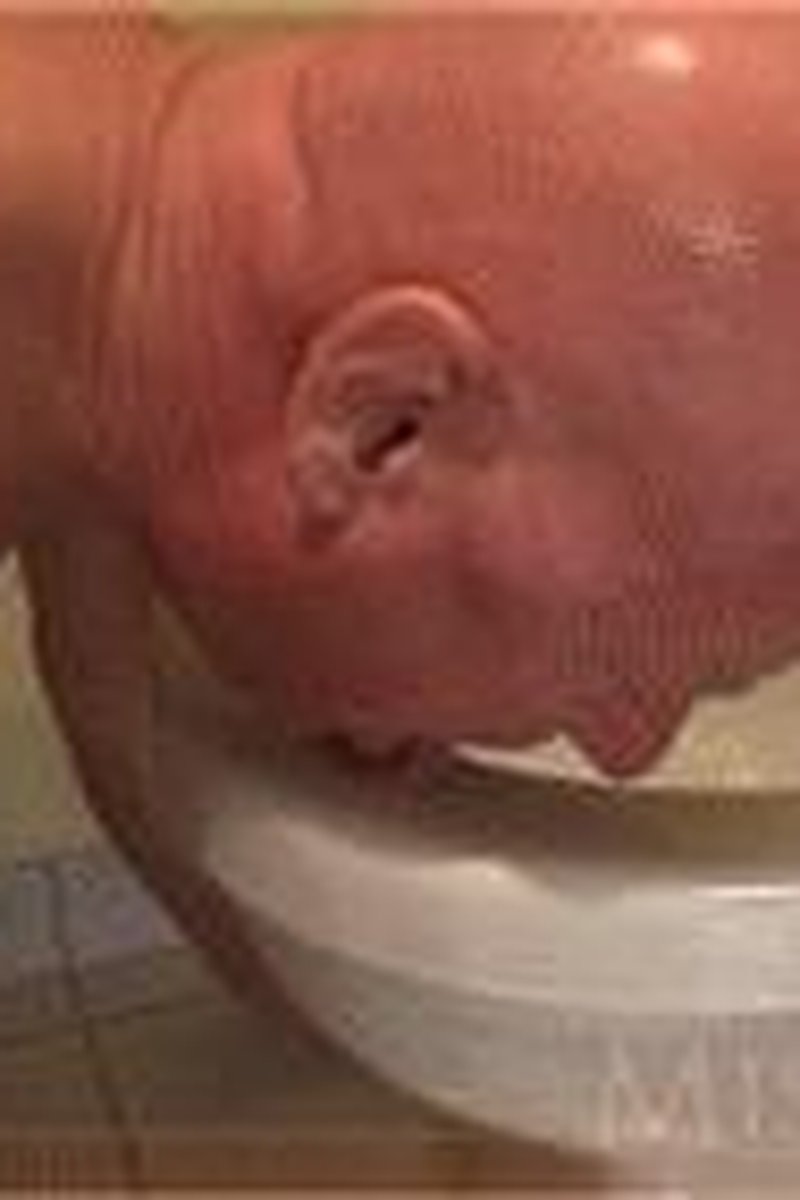 Ass to Mouth Humiliation - Screenshot 1 of 4 - Ass To Mouth